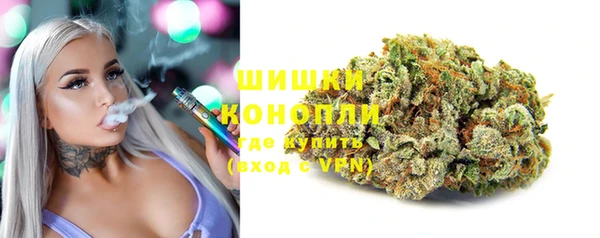 молекула духа Арсеньев