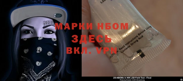 молекула духа Арсеньев