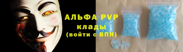 молекула духа Арсеньев