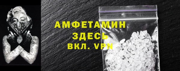 молекула духа Арсеньев