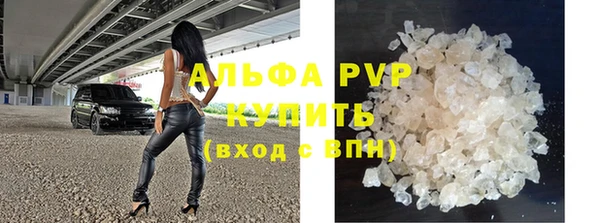 молекула духа Арсеньев