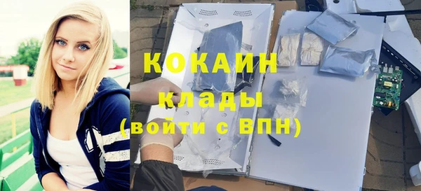 молекула духа Арсеньев