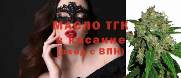 молекула духа Арсеньев