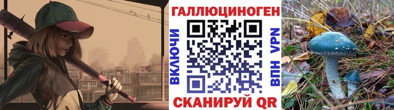 где продают Чишмы Псилоцибиновые грибы Cubensis